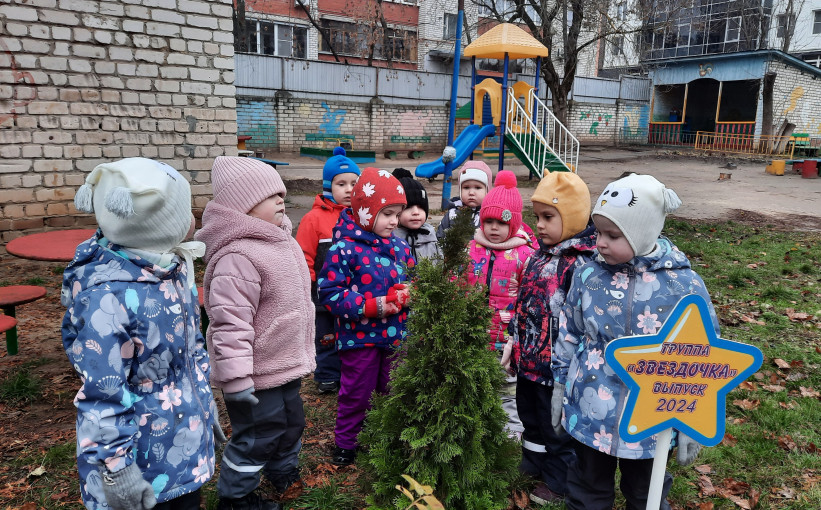 НАБЛЮДЕНИЕ ЗА ДЕРЕВЬЯМИ НАБЛЮДЕНИЕ ЗА ДЕРЕВЬЯМИ.